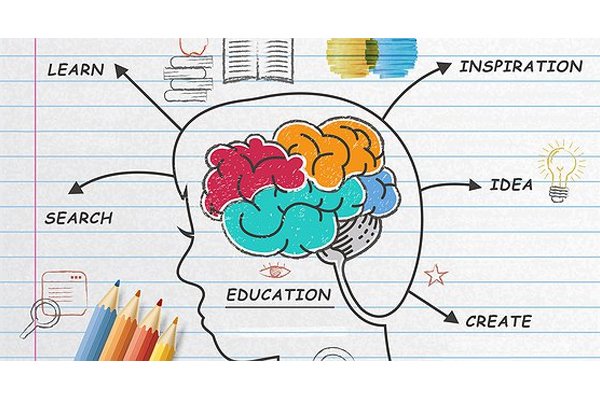 Neurosciences